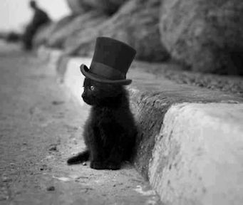 black-kitten-in-top-hat2.jpg